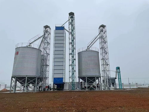 河南中瑞粮油机械详述 面粉加工工艺流程与关键设备解析，兼论石化电力设备联动